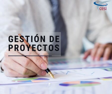 Gestión de Proyectos