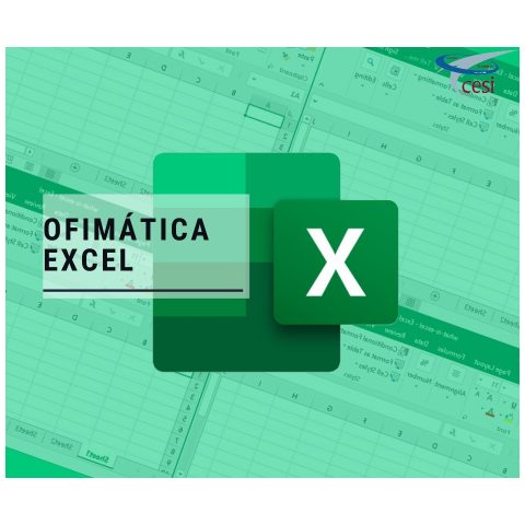 CURSO DE EXCEL (NIVEL INICIAL/MEDIO)