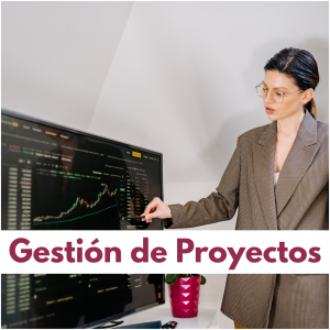 ㅤgestion de proyectos
