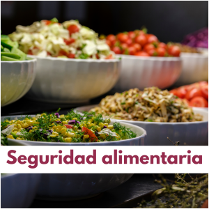 ㅤseguridad alimentaria